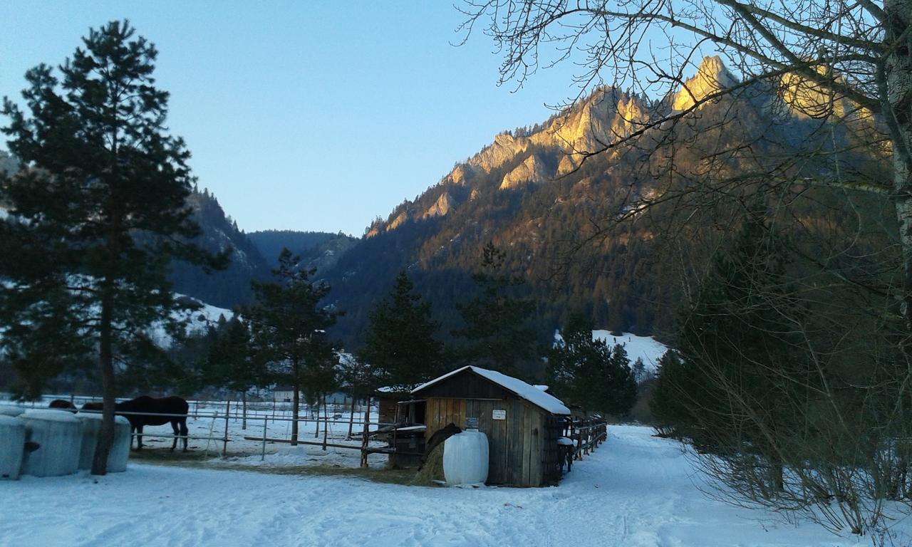 Ubytovanie Sokolica Červený Kláštor Dış mekan fotoğraf